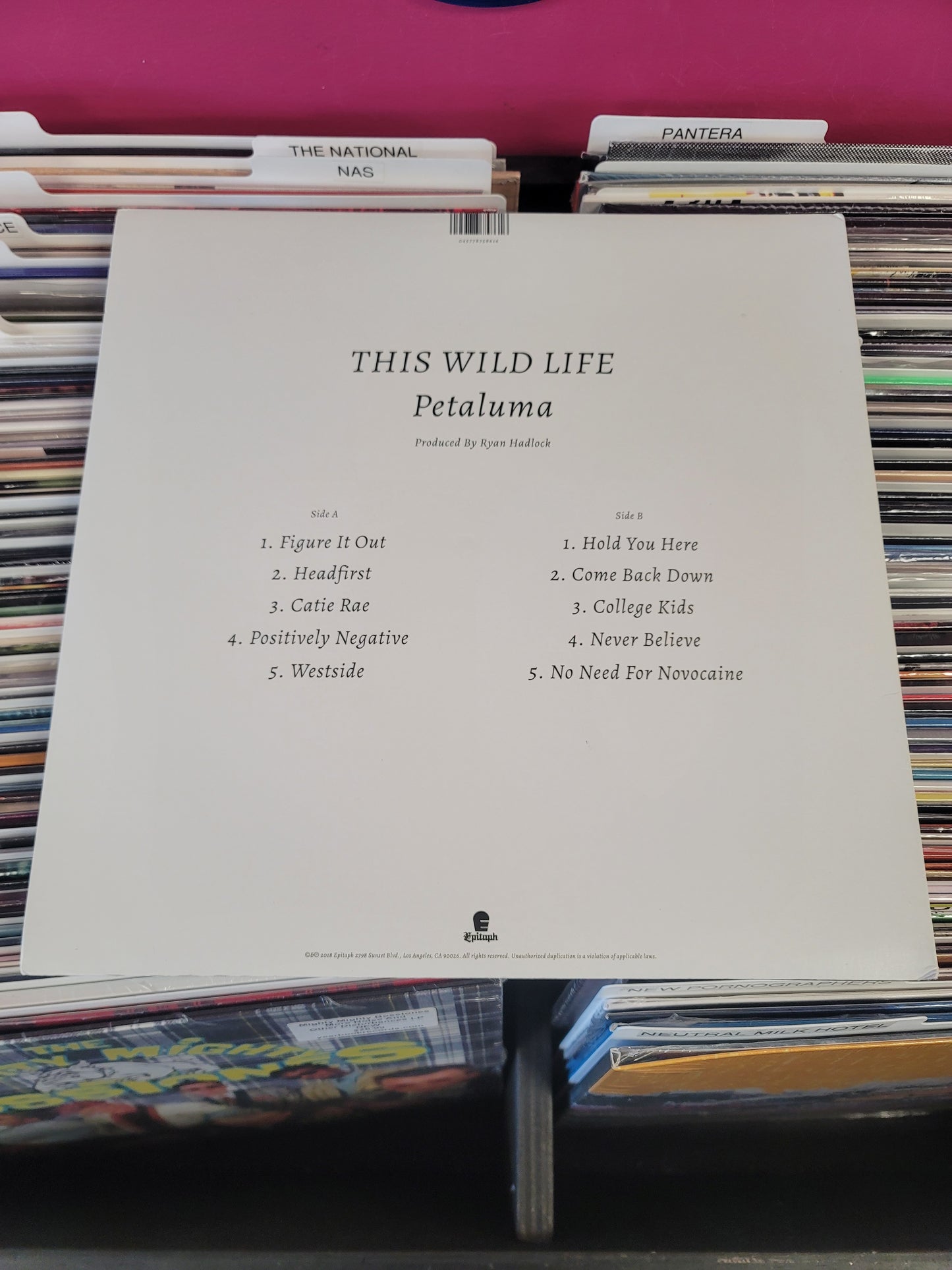 USED: This Wild Life - Petaluma LP record (light blue vinyl)