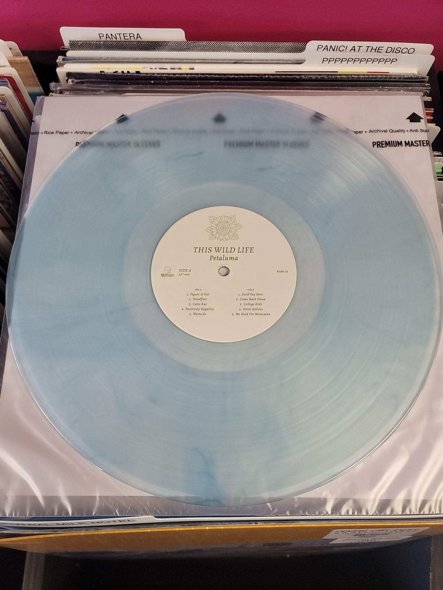 USED: This Wild Life - Petaluma LP record (light blue vinyl)
