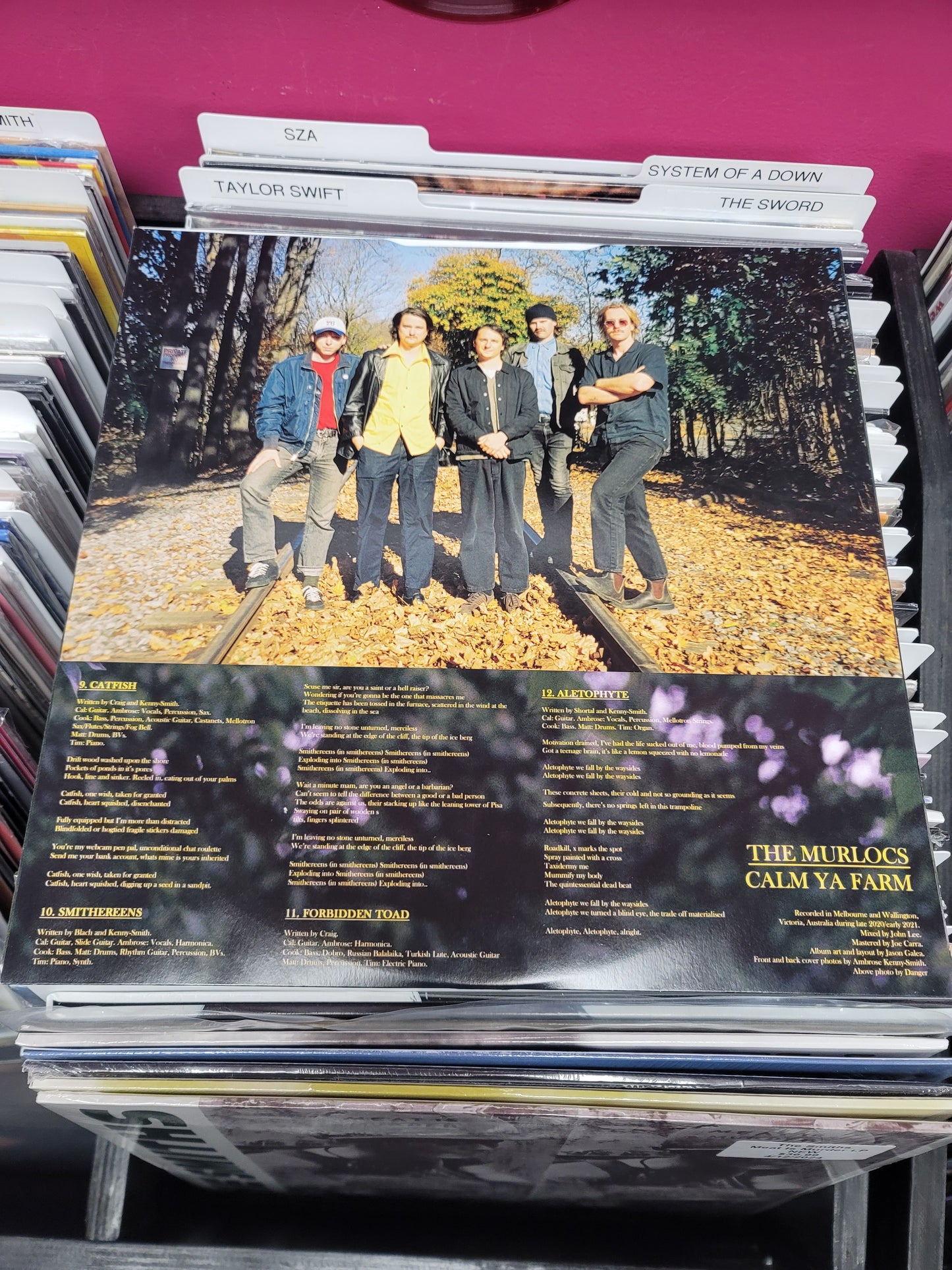 USED: The Murlocs - Calm Ya Farm LP vinyl record