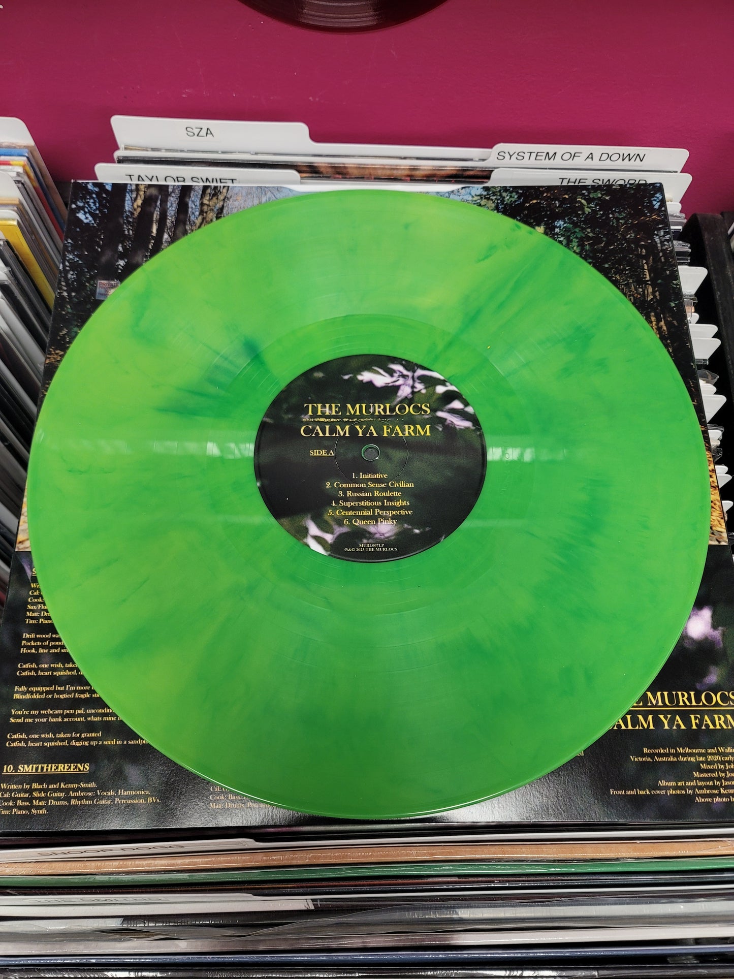 USED: The Murlocs - Calm Ya Farm LP vinyl record