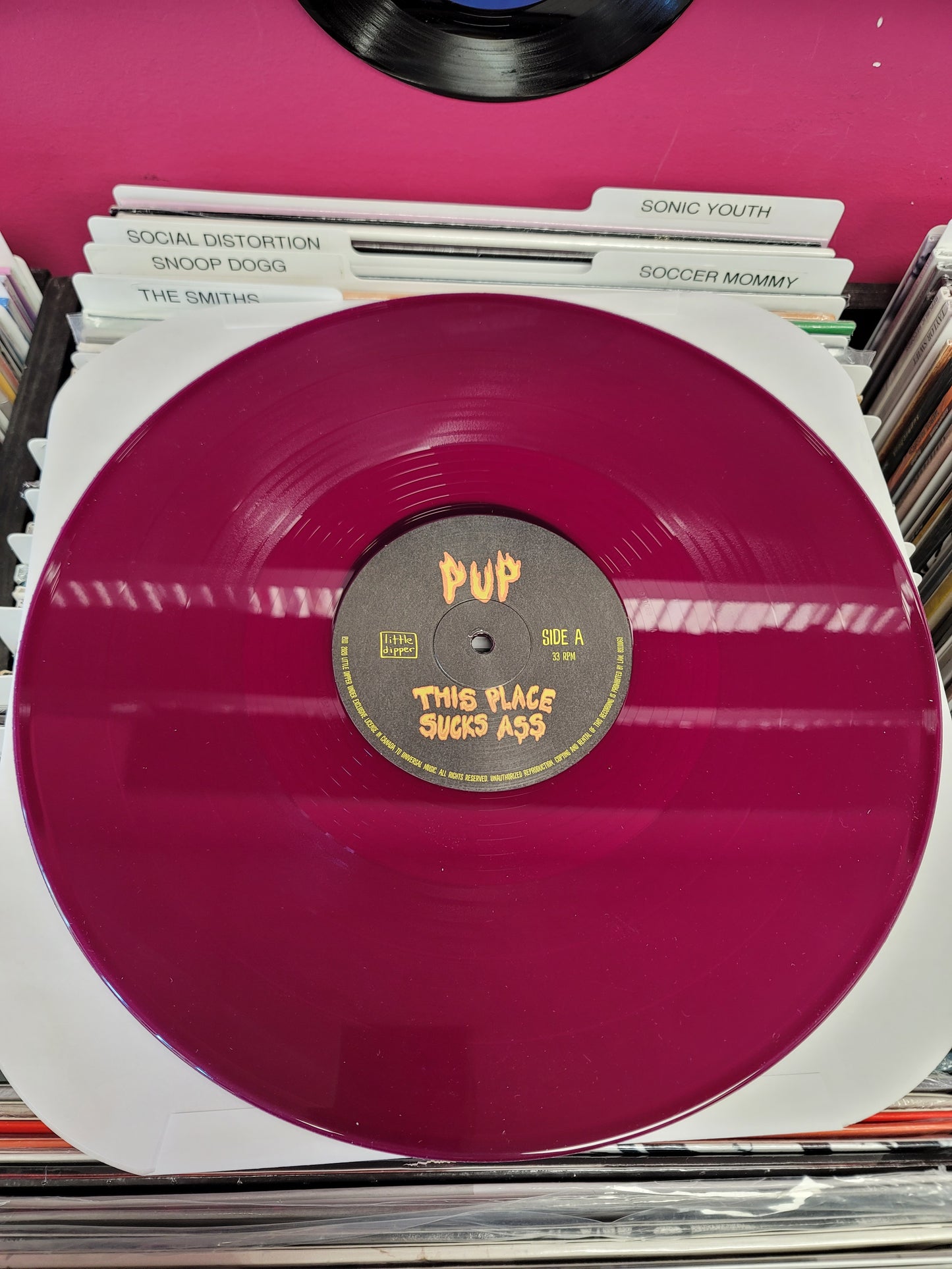 USED: Pup - This Place Sucks Ass LP record (purple vinyl)