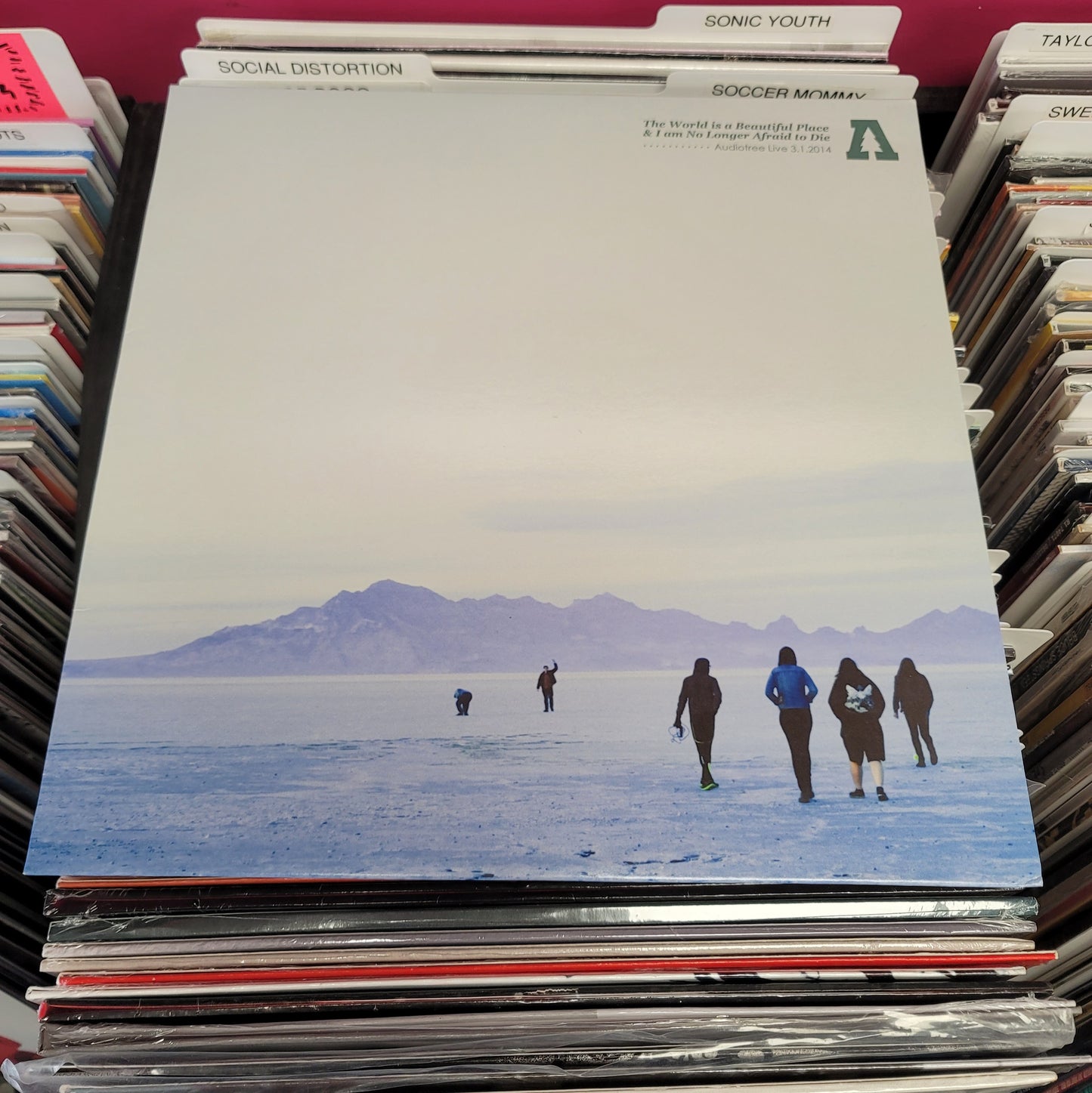 USED: The World Is A Beautiful Place... - Audiotree Live LP record (colored vinyl)