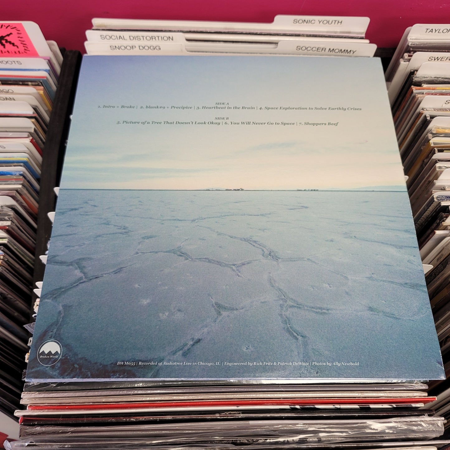 USED: The World Is A Beautiful Place... - Audiotree Live LP record (colored vinyl)