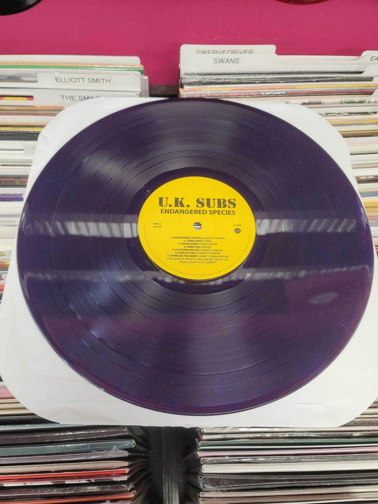 USED: U.K. Subs - Endangered Species LP record (purple vinyl)
