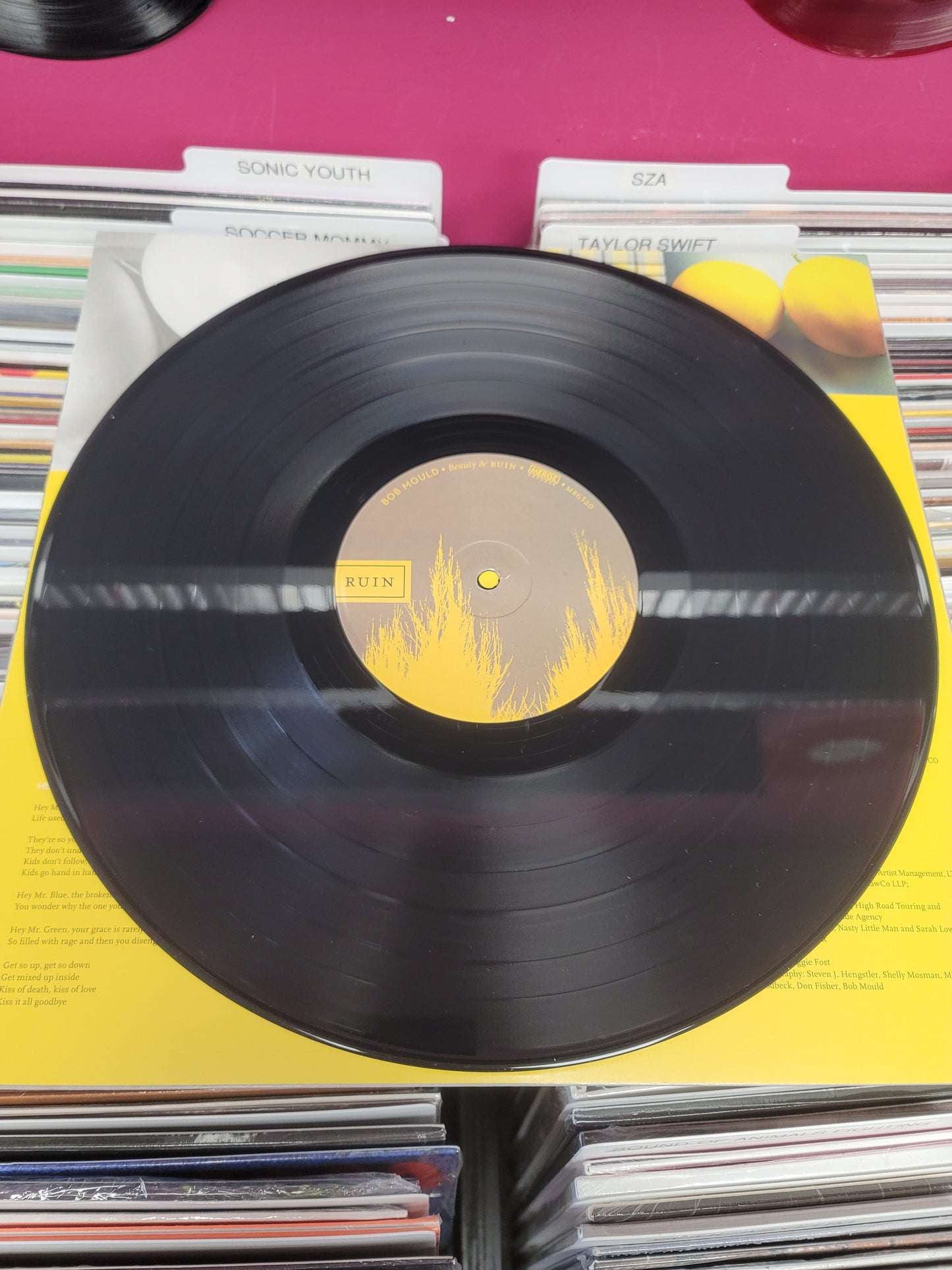 USED: Bob Mould - Beauty and Ruin LP vinyl record