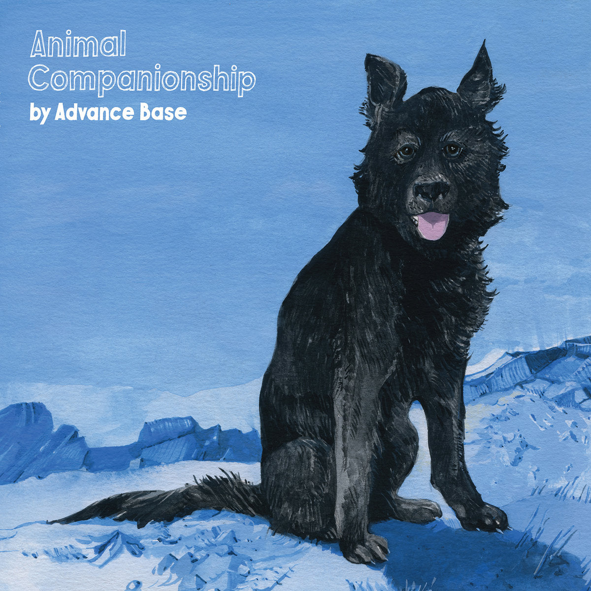Advance Base - Animal Companionship LP vinyl record