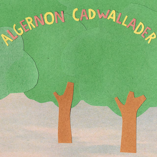 Algernon Cadwallader - Some Kind of Cadwallader LP vinyl record