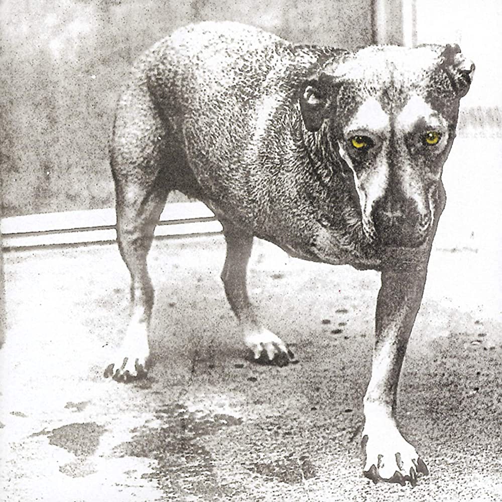 Alice In Chains - self-titled CD