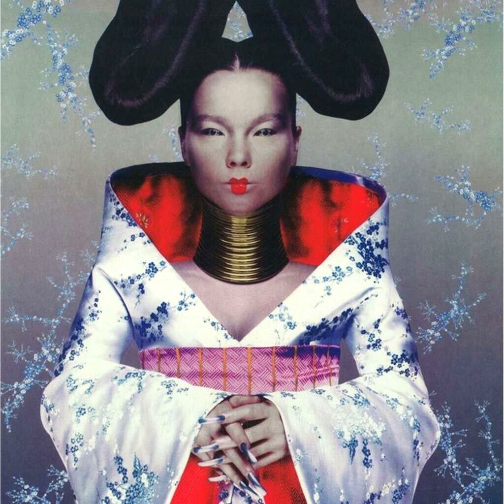 Bjork - Homogenic LP vinyl record