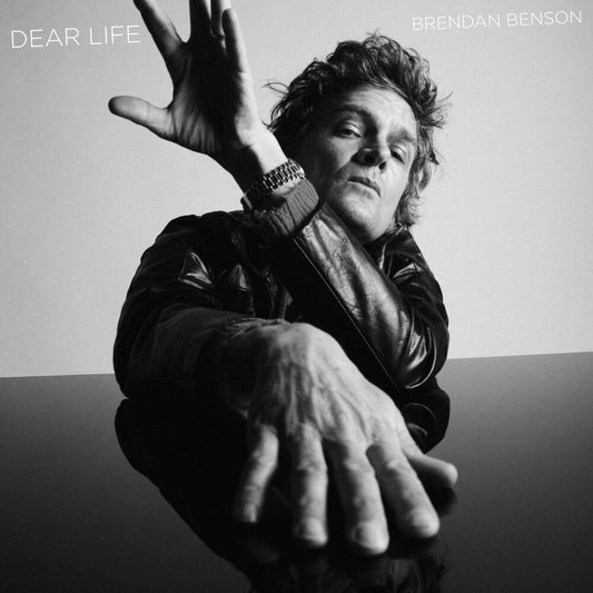 Brendan Benson - Dear Life LP vinyl record