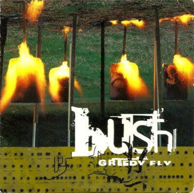 Bush - Greedy Fly CD single