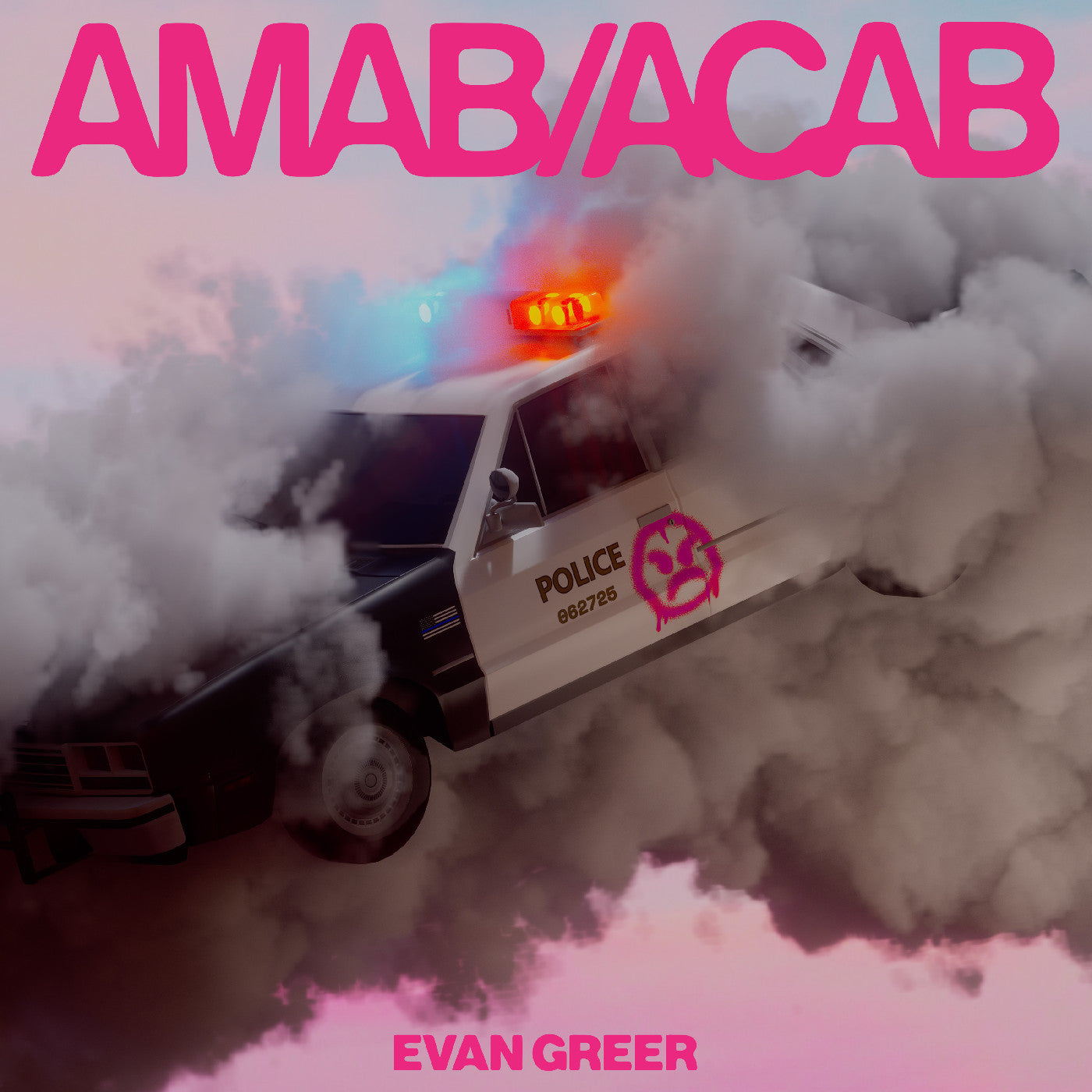 Evan Greer - AMAB / ACAB LP vinyl record