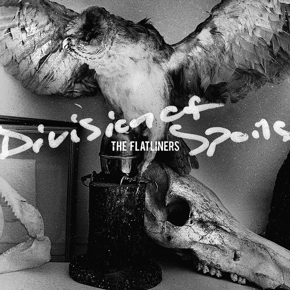 The Flatliners - Division of Spoils LP vinyl record