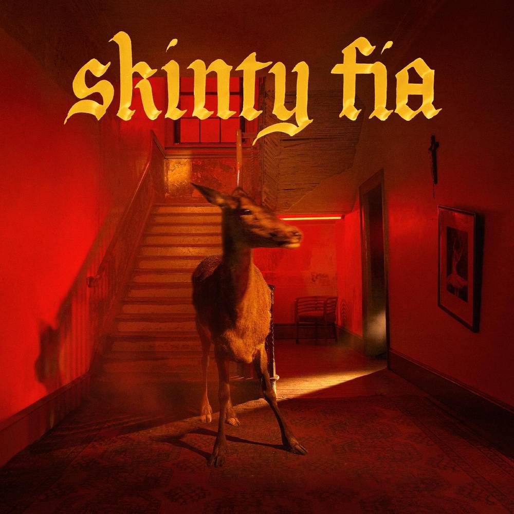 Fontaines D.C. - Skinty Fia LP vinyl record