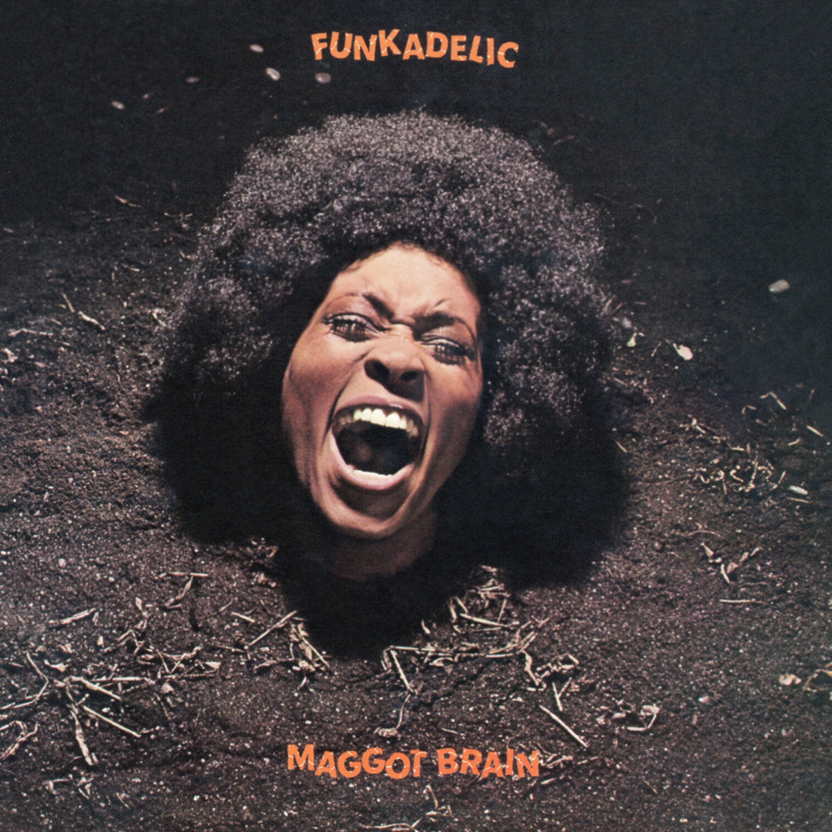 Funkadelic - Maggot Brain CD