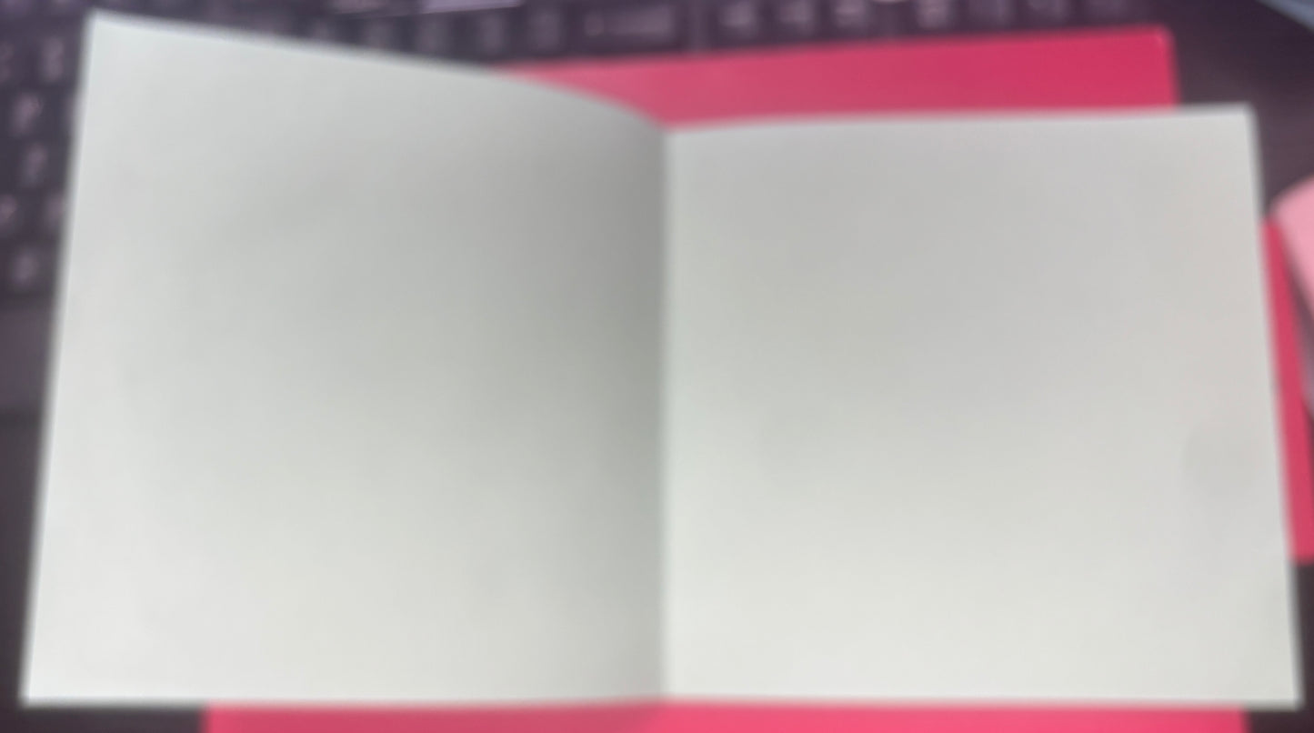 USED: The Mountain Goats and Simon Joyner - Why You All So Thief? vinyl 7" record (1994)