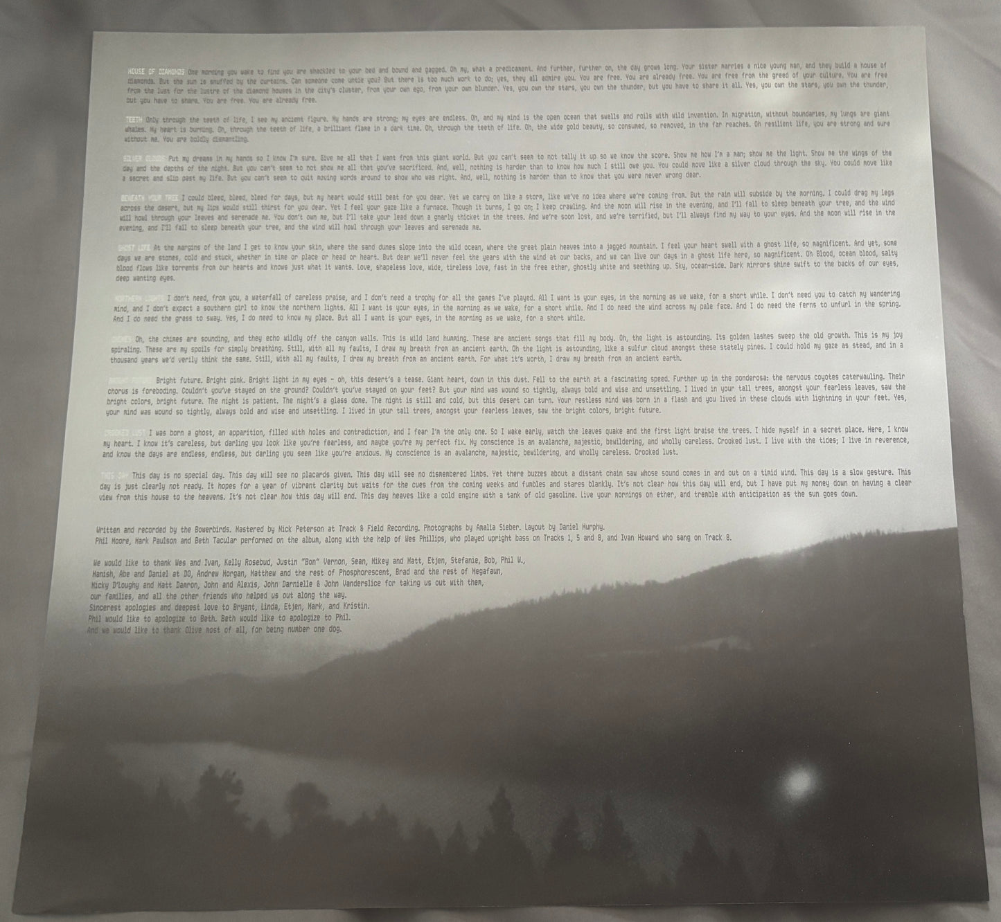 USED: Bowerbirds - Upper Air LP vinyl record (2009 Dead Oceans)