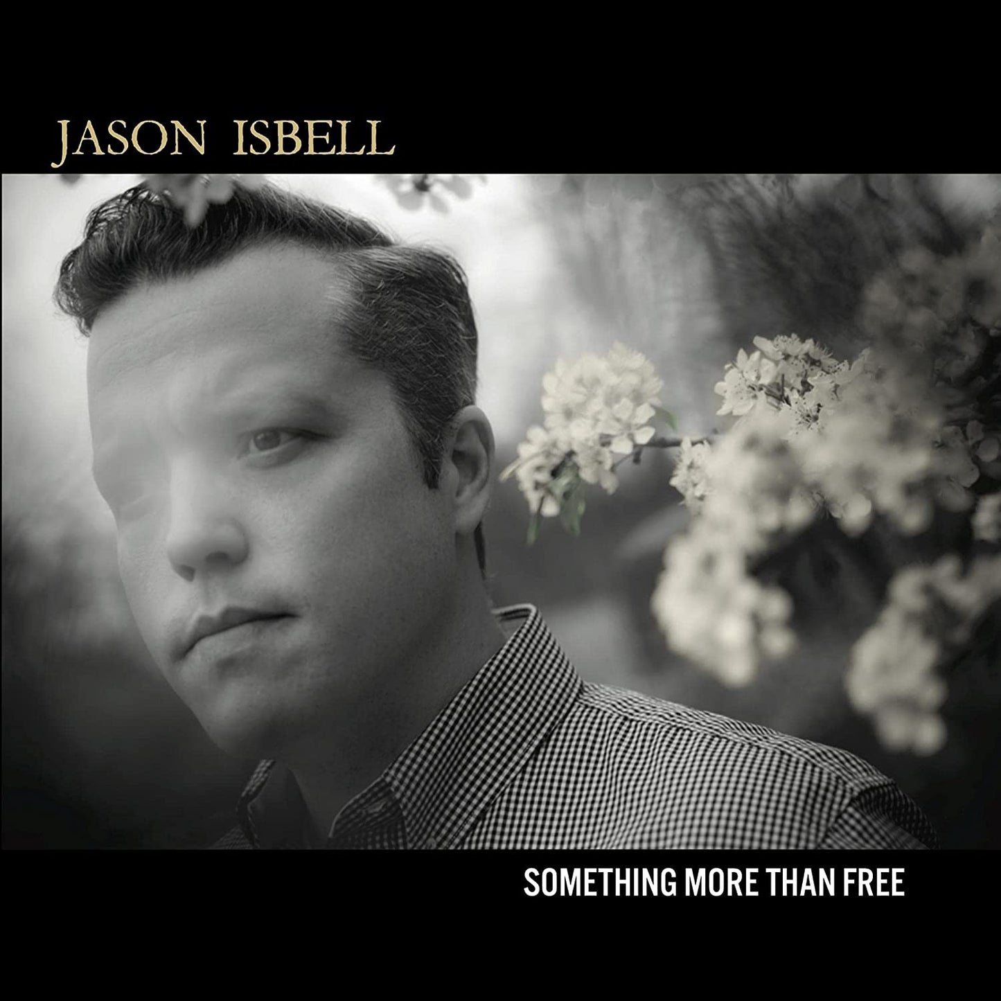 Jason Isbell - Something More Than Free LP vinyl record