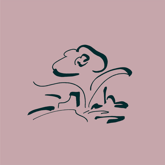 Lullatone - Music for My Friend's Flower Shop CD