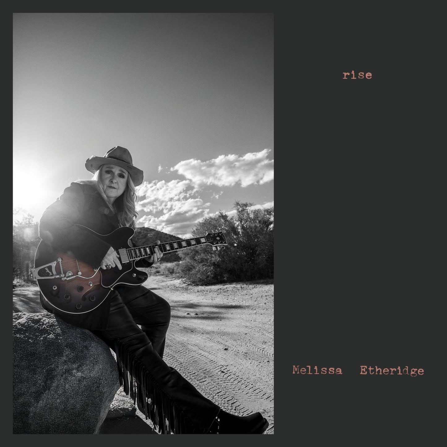 Melissa Etheridge - Rise LP vinyl record