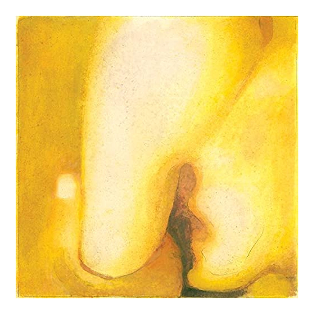 The Smashing Pumpkins - Pisces Iscariot LP vinyl record