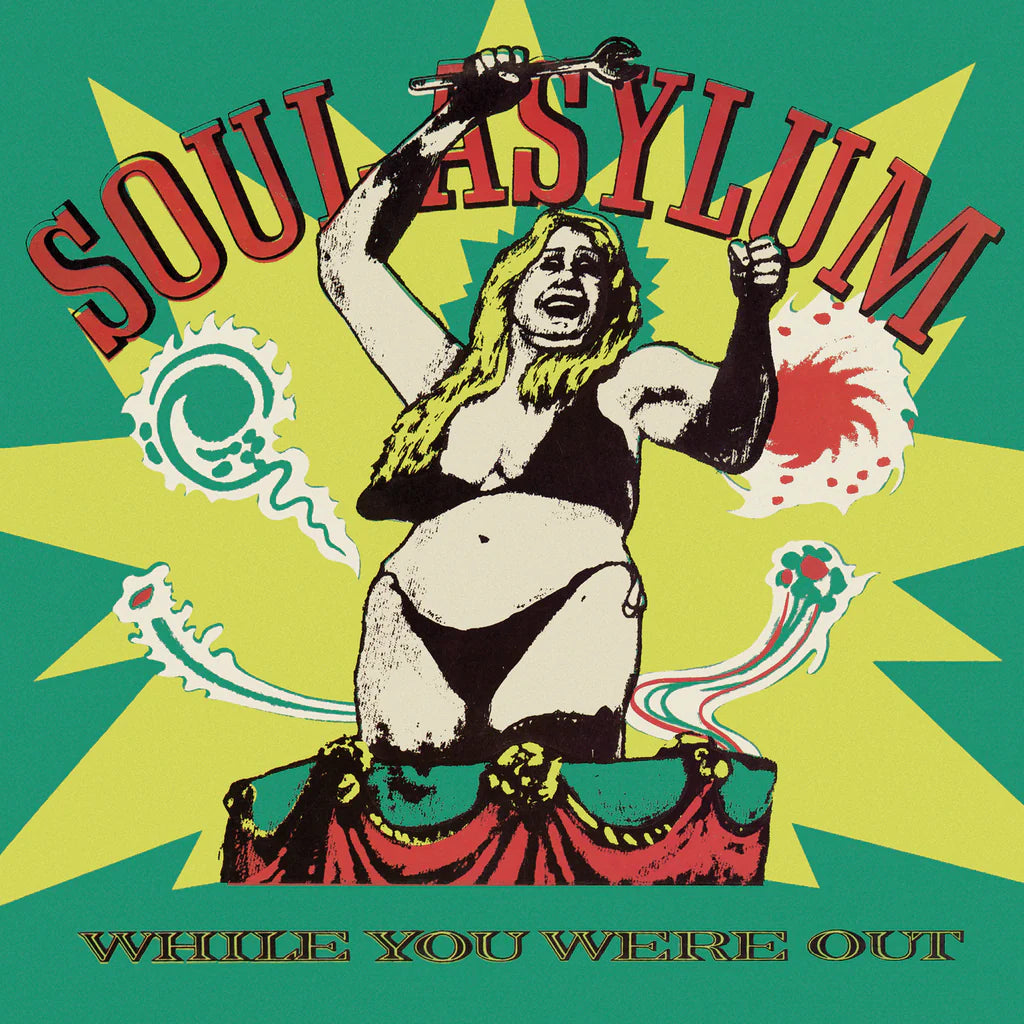 Soul Asylum - While You Were Out LP vinyl record