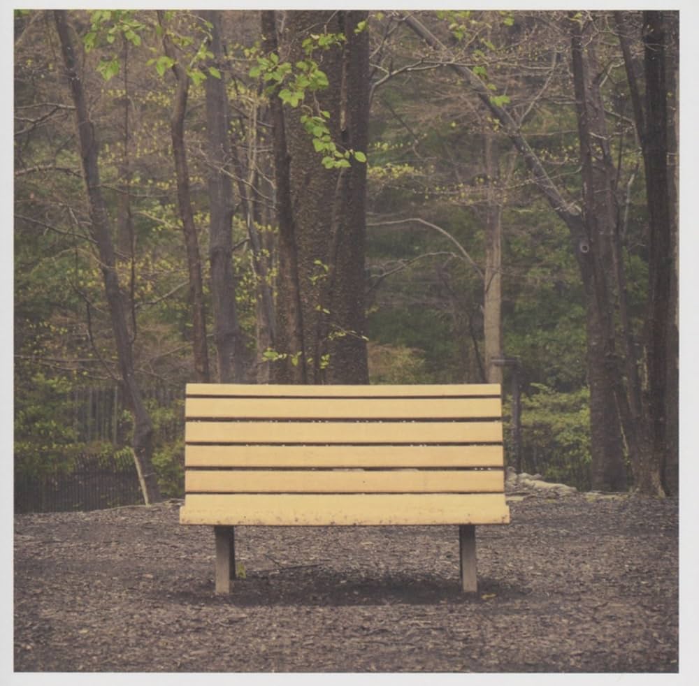 PREORDER (07/24/26): Streetlight Manifesto - The Hands That Thieve LP vinyl record