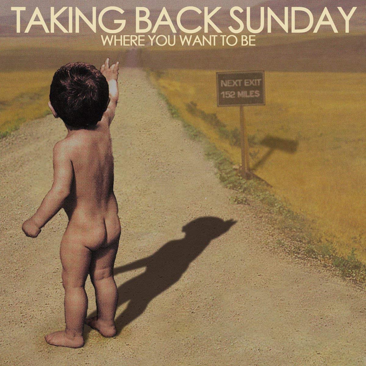 Taking Back Sunday - Where You Want To Be LP vinyl record