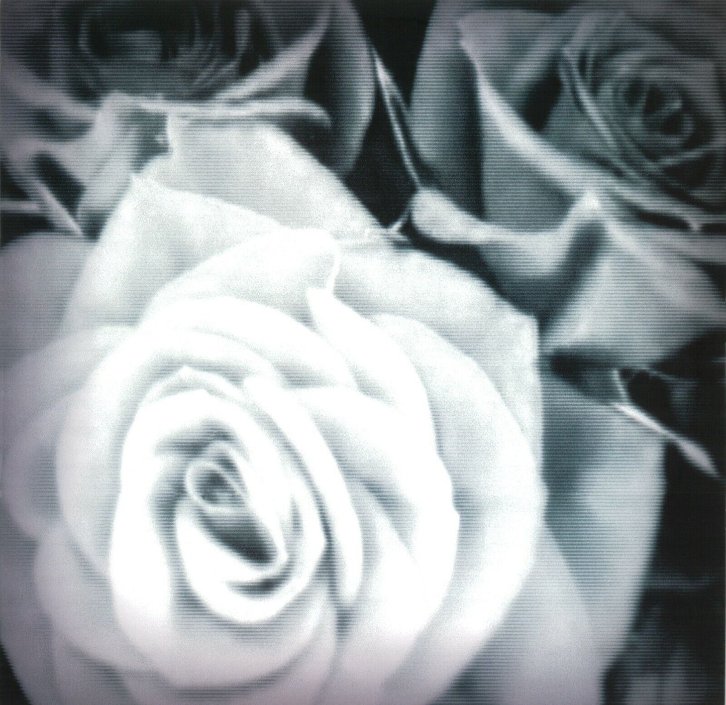 the Mountain Goats - All Eternals Deck LP vinyl record