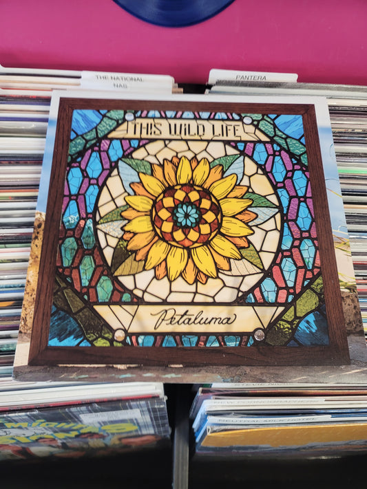 USED: This Wild Life - Petaluma LP record (light blue vinyl)