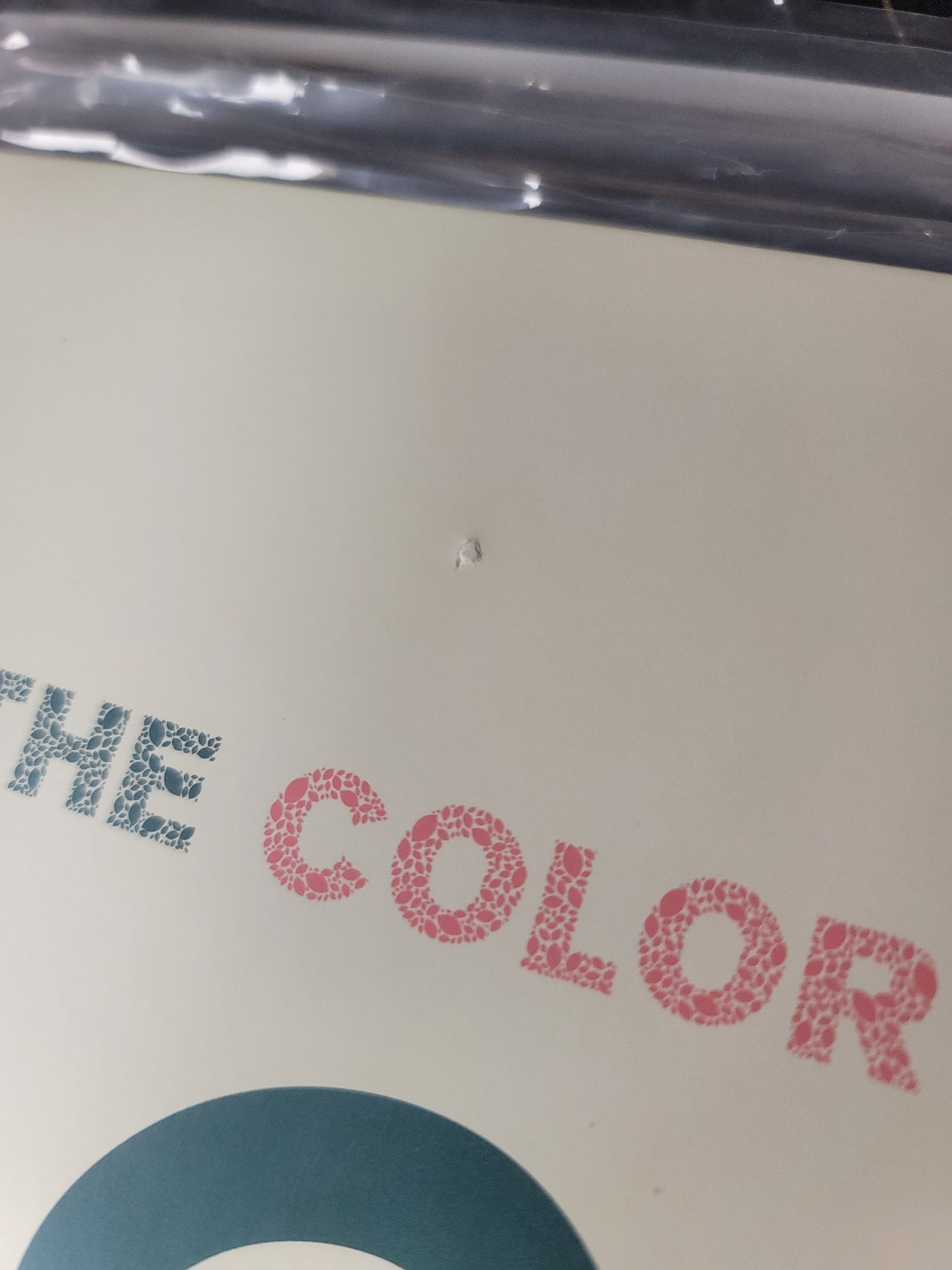 USED: The Color & Sound - Peace of Mind 12" EP (green vinyl)