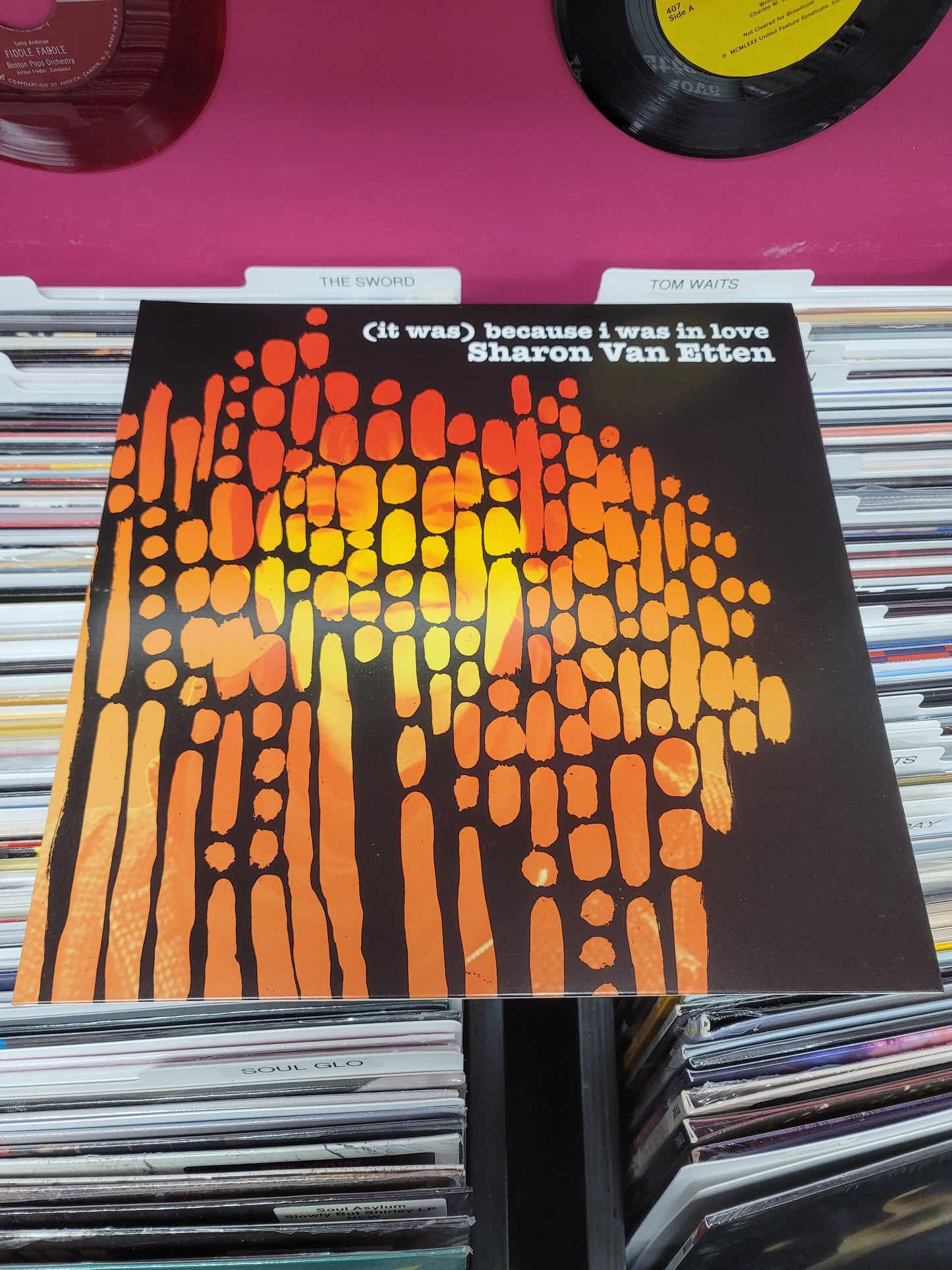 USED: Sharon Van Etten - (it was) Because I Was In Love LP (Vinyl Me Please pressing)