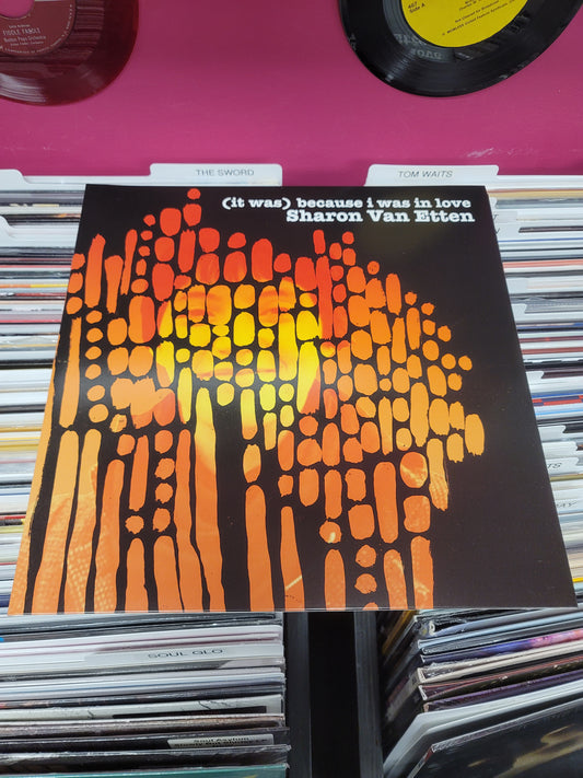 USED: Sharon Van Etten - (it was) Because I Was In Love LP (Vinyl Me Please pressing)