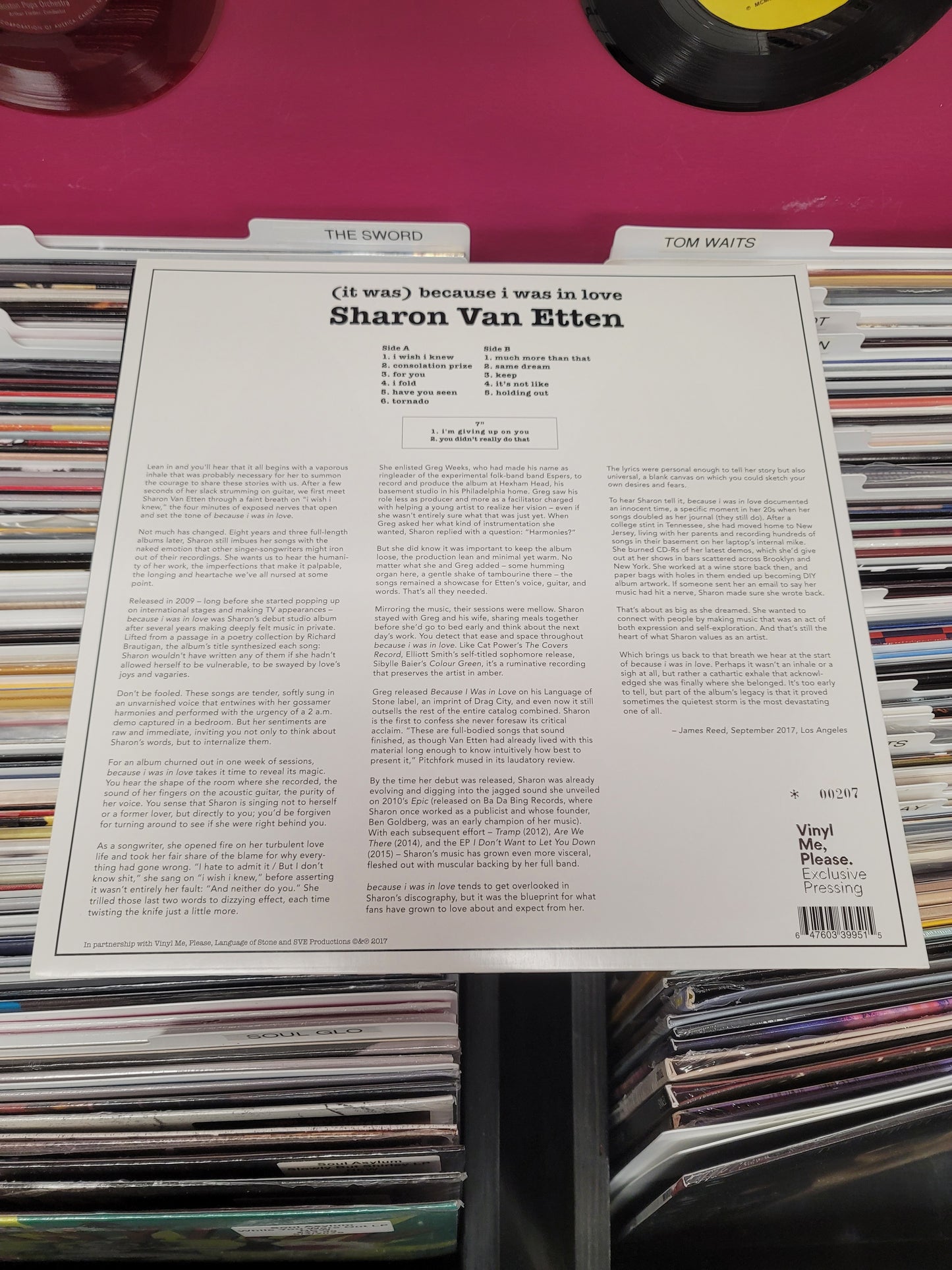 USED: Sharon Van Etten - (it was) Because I Was In Love LP (Vinyl Me Please pressing)