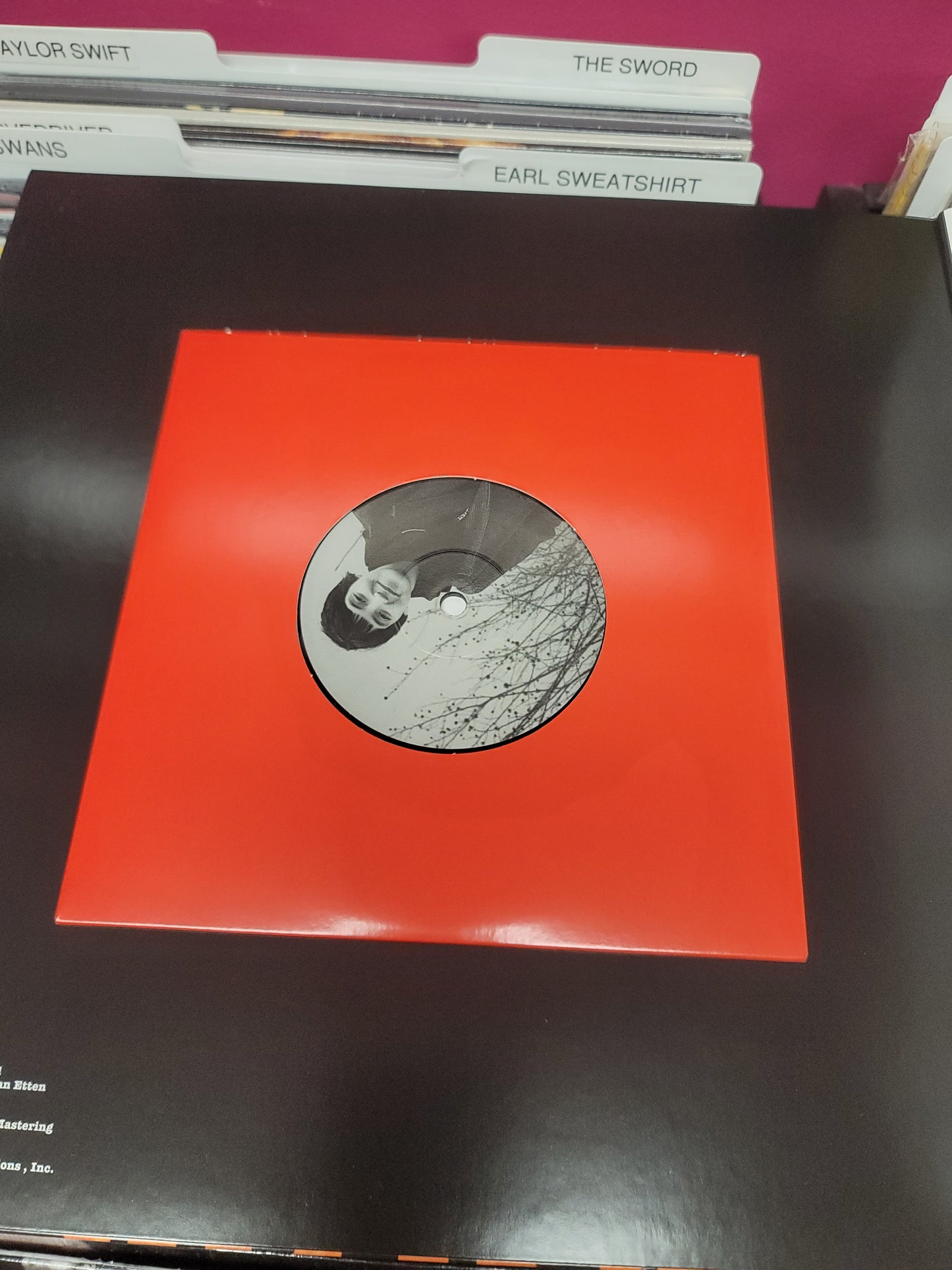 USED: Sharon Van Etten - (it was) Because I Was In Love LP (Vinyl Me Please pressing)