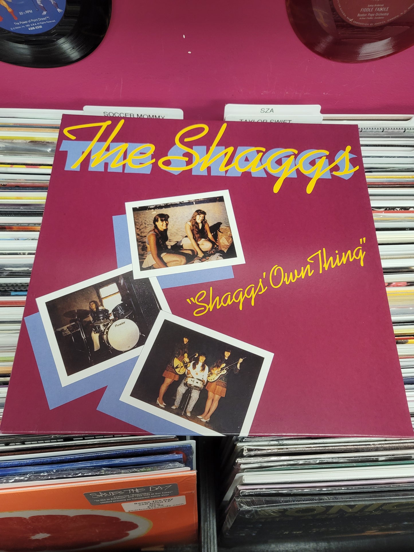 USED: The Shaggs - Shaggs' Own Thing LP vinyl record