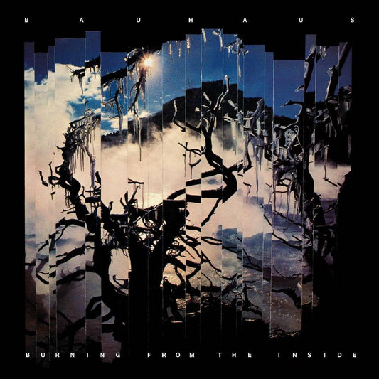 Bauhaus - Burning From The Inside CD