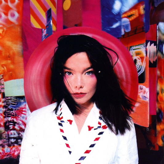 Bjork - Post LP vinyl record