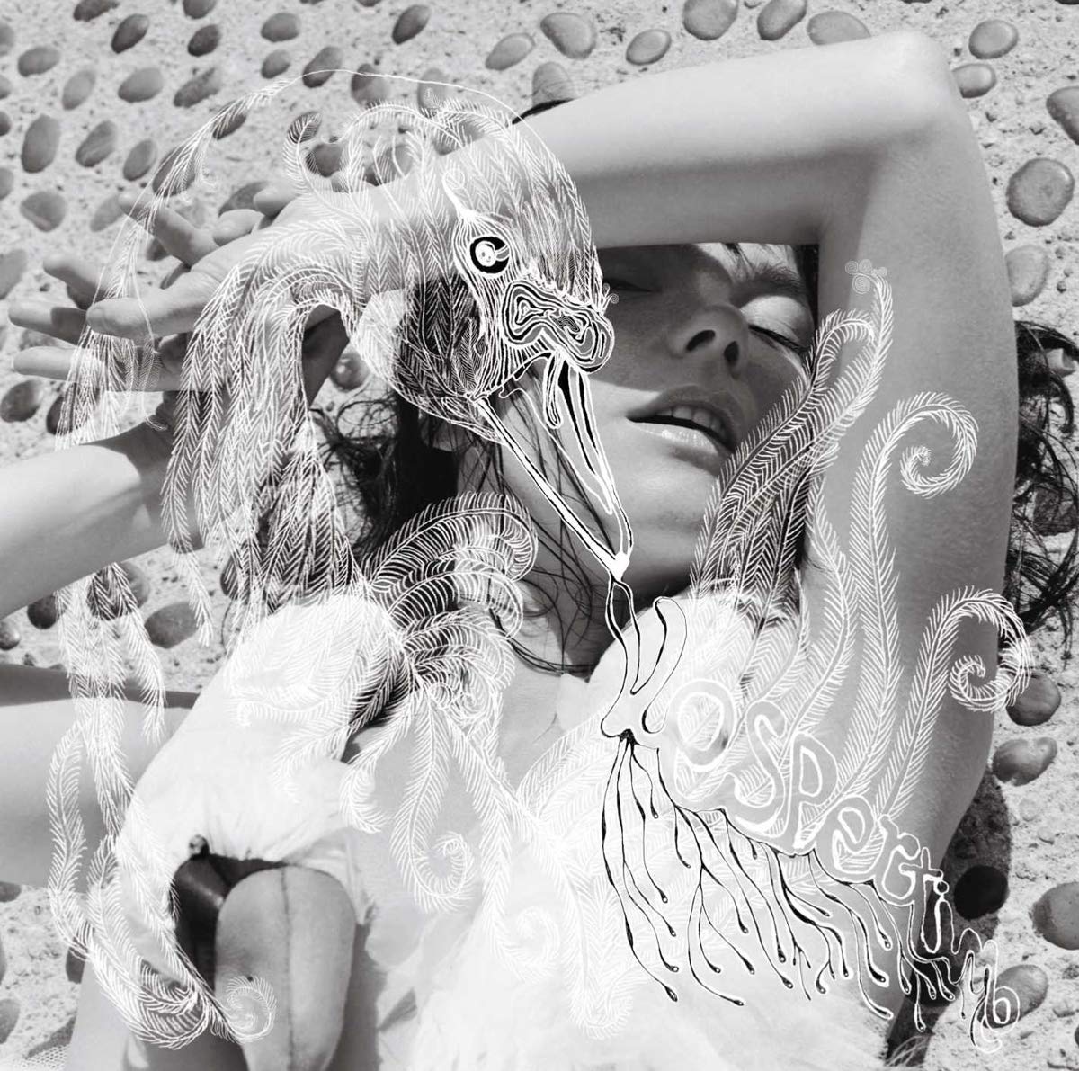 Björk - Vespertine LP vinyl record
