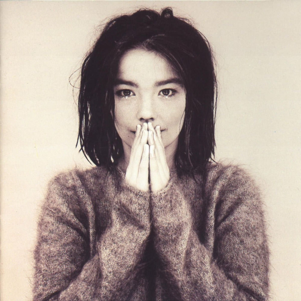 Bjork - Debut LP vinyl record