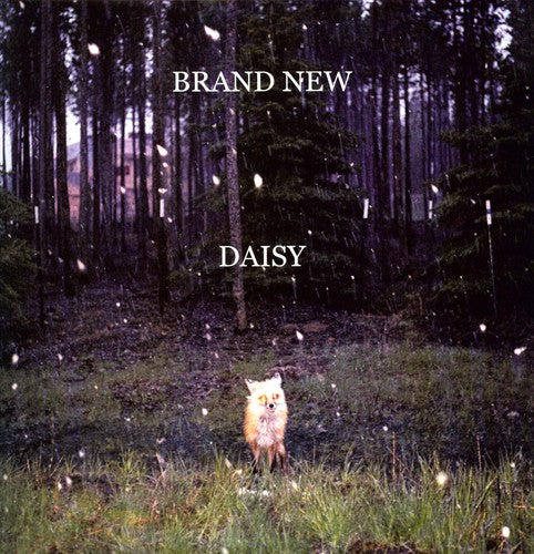 USED: Brand New - Daisy LP vinyl record