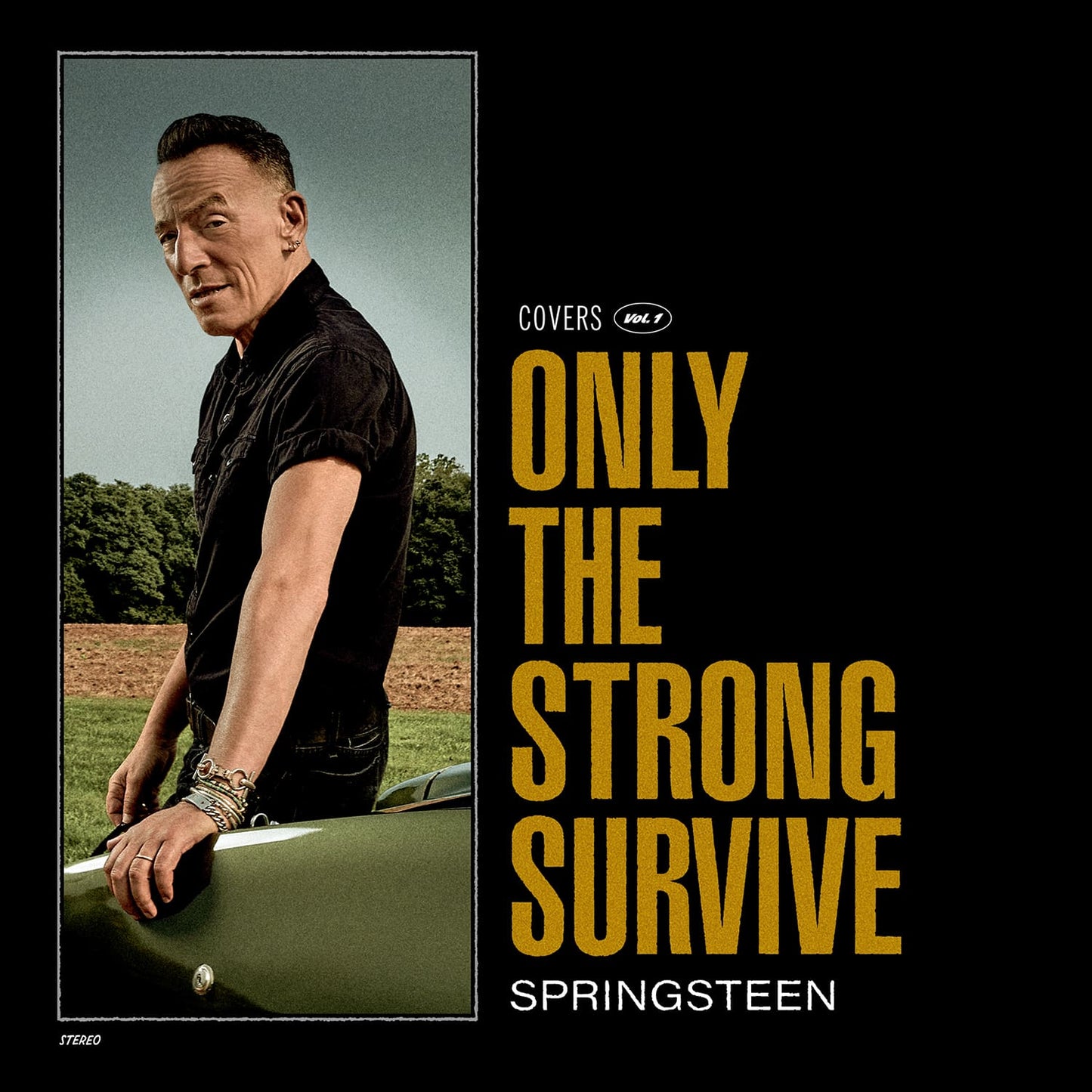 Bruce Springsteen - Only the Strong Survive CD