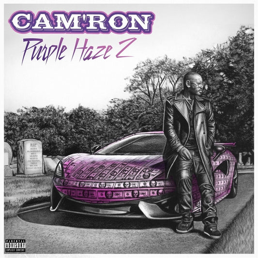Cam'ron - Purple Haze 2 LP vinyl record