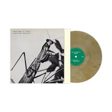 Courtney Barnett - Creature of Habit LP caramel color vinyl record (indie exclusive)