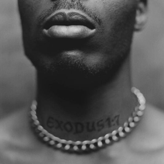 DMX - Exodus LP vinyl record