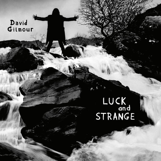 David Gilmour - Luck and Strange LP record (sea blue vinyl)