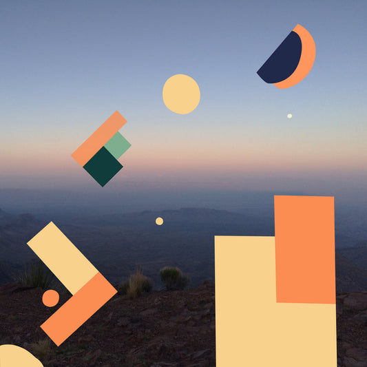 David Slowing - A Sinous Path to Pleasant Valley LP vinyl record