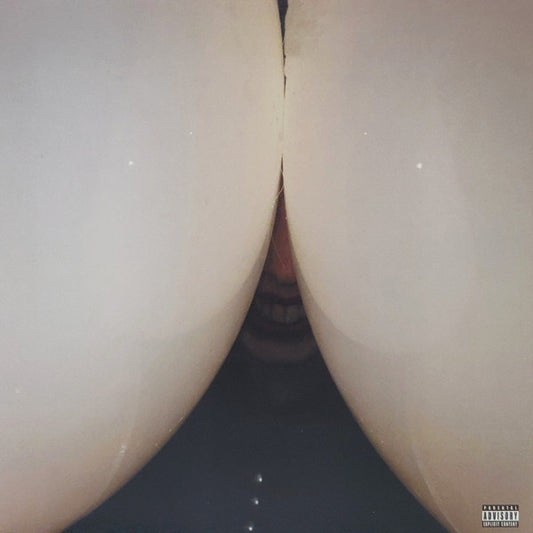 Death Grips - Bottomless Pit LP vinyl record