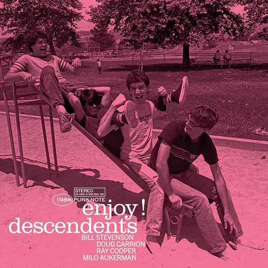Descendents - Enjoy! LP vinyl record (Punk Note Edition)