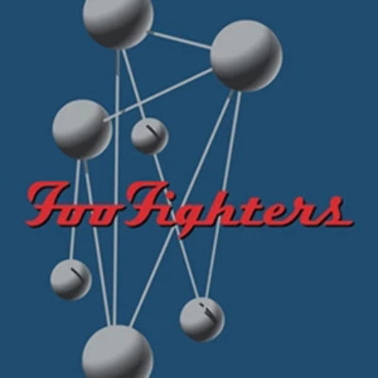 Foo Fighters - Colour & The Shape LP vinyl record